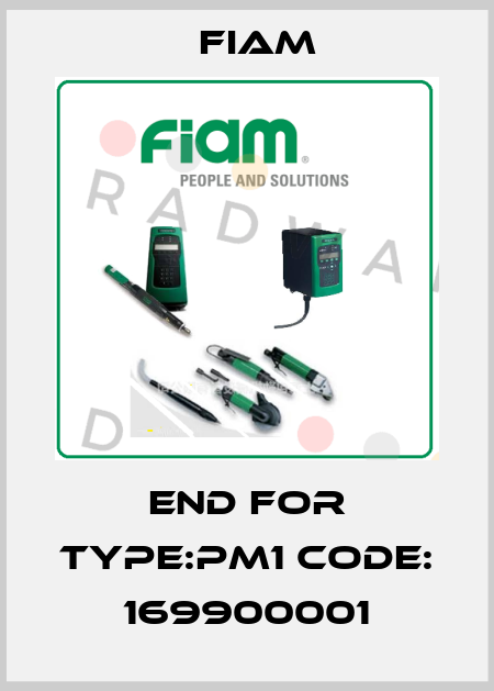End for Type:PM1 Code: 169900001 Fiam