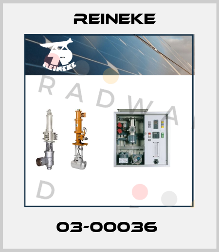 03-00036  Reineke