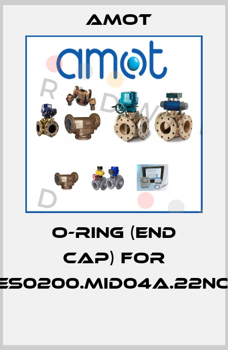 O-RING (END CAP) for ES0200.MID04A.22NO  Amot