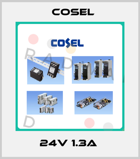 24V 1.3A  Cosel