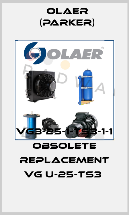 VG3-25-1-TS3-1-1 obsolete replacement VG U-25-TS3  Olaer (Parker)