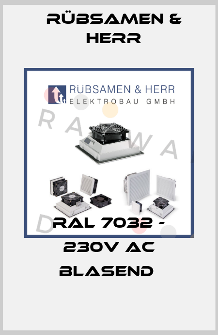 RAL 7032 - 230V AC blasend  Rübsamen & Herr