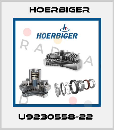 U9230558-22  Hoerbiger