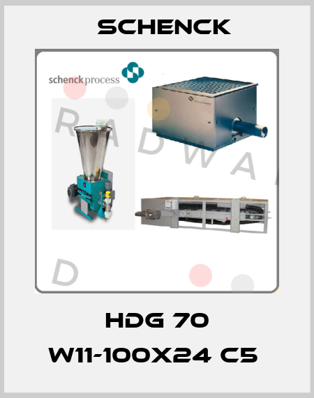 HDG 70 W11-100x24 C5  Schenck