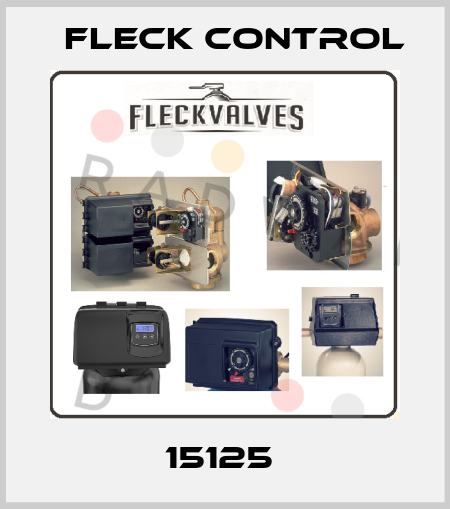 15125  Fleck Control