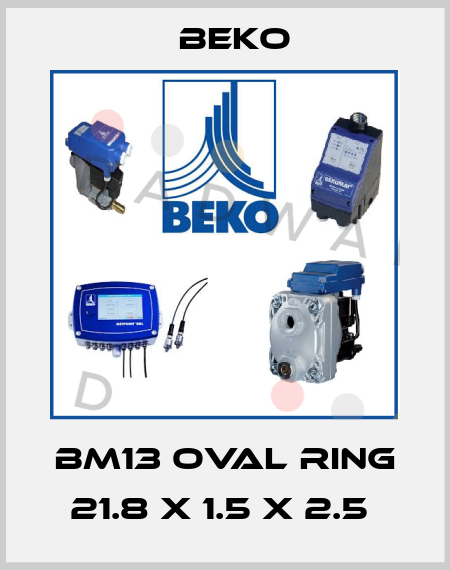 BM13 OVAL RING 21.8 X 1.5 X 2.5  Beko