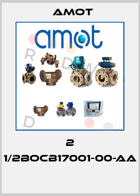 2 1/2BOCB17001-00-AA  Amot