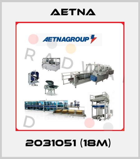 2031051 (18m)  Aetna