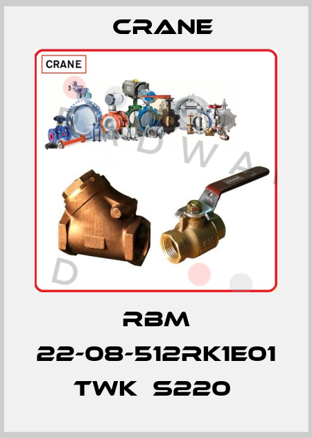 RBM 22-08-512RK1E01 TWK  S220  Crane