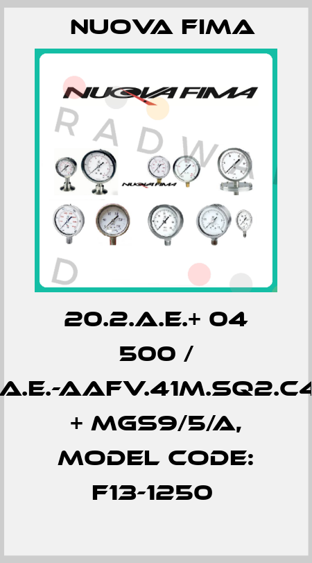 20.2.A.E.+ 04 500 / 1.20.2.A.E.-AAFV.41M.SQ2.C40.L02 + MGS9/5/A, Model code: F13-1250  Nuova Fima