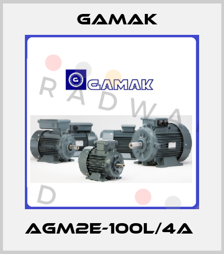 AGM2E-100L/4a  Gamak