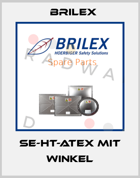 SE-HT-ATEX mit Winkel Brilex