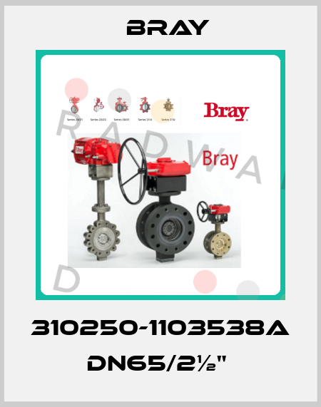 310250-1103538A DN65/2½"  Bray