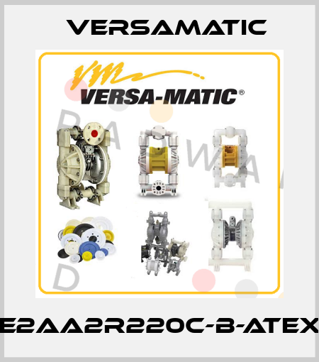 E2AA2R220C-B-ATEX VersaMatic