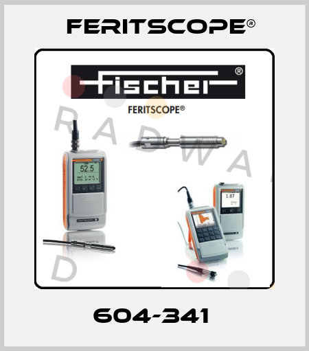 604-341  Feritscope®
