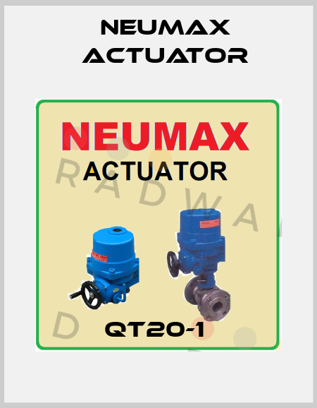 QT20-1  Neumax Actuator