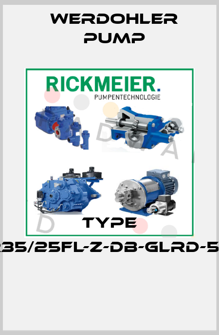 TYPE R35/25FL-Z-DB-GLRD-50   Werdohler Pump