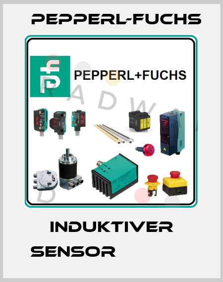 Induktiver Sensor               Pepperl-Fuchs
