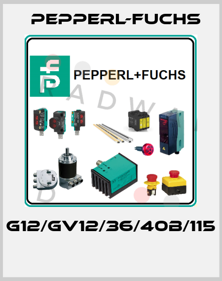 G12/GV12/36/40b/115  Pepperl-Fuchs