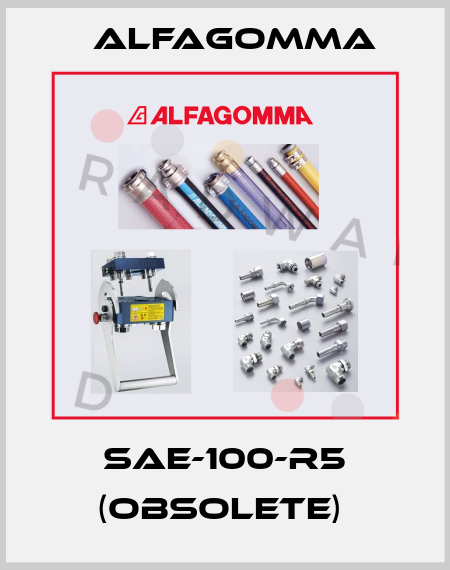 SAE-100-R5 (obsolete)  Alfagomma