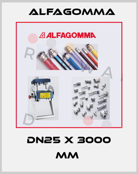 DN25 x 3000 mm  Alfagomma