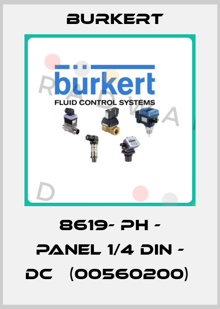 8619- PH - PANEL 1/4 DIN - DC   (00560200)  Burkert