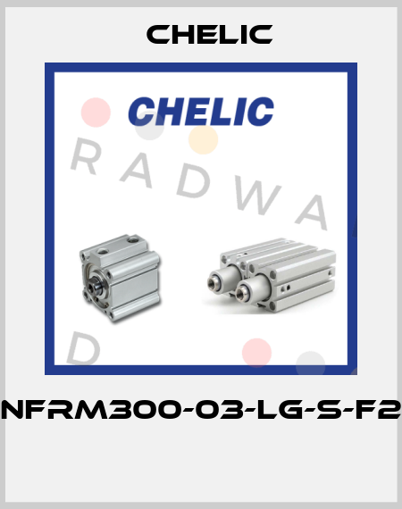 NFRM300-03-LG-S-F2  Chelic