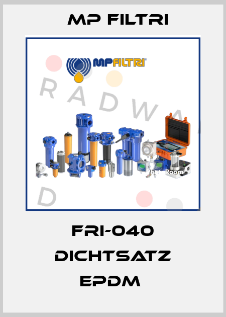 FRI-040 DICHTSATZ EPDM  MP Filtri