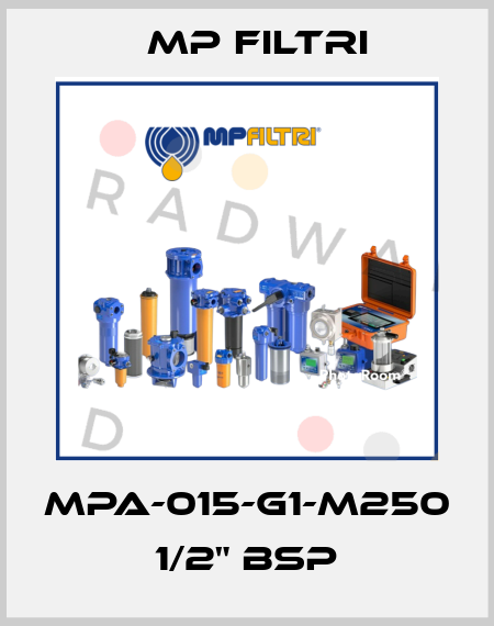 MPA-015-G1-M250    1/2" BSP MP Filtri