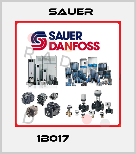 1B017          Sauer
