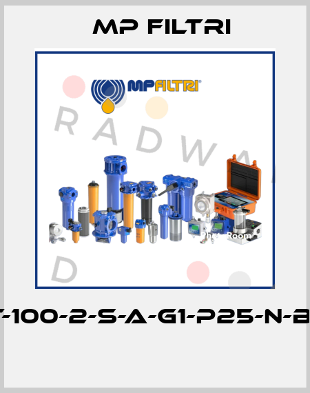 MPT-100-2-S-A-G1-P25-N-B-P01  MP Filtri