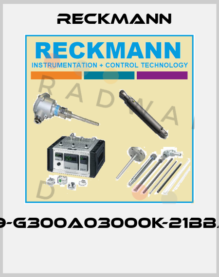 1R9-G300A03000K-21BBAX  Reckmann