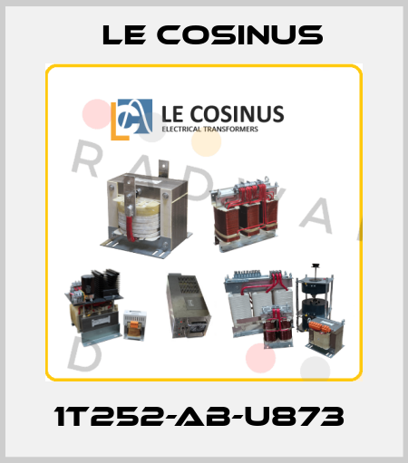 1T252-AB-U873  Le cosinus