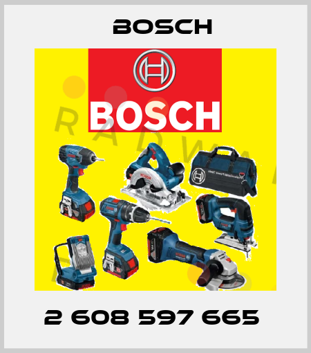 2 608 597 665  Bosch