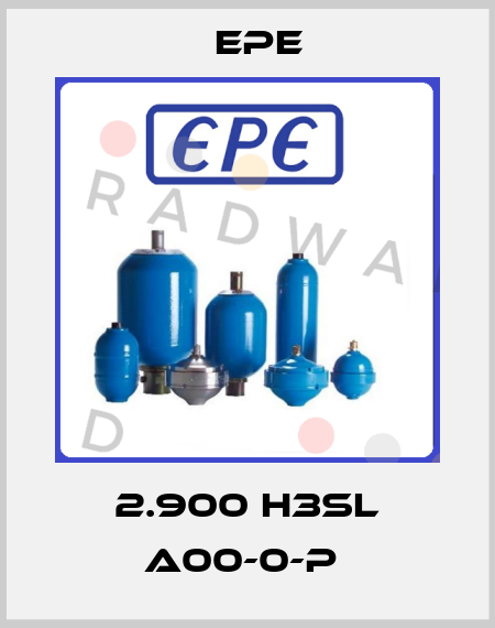 2.900 H3SL A00-0-P  Epe