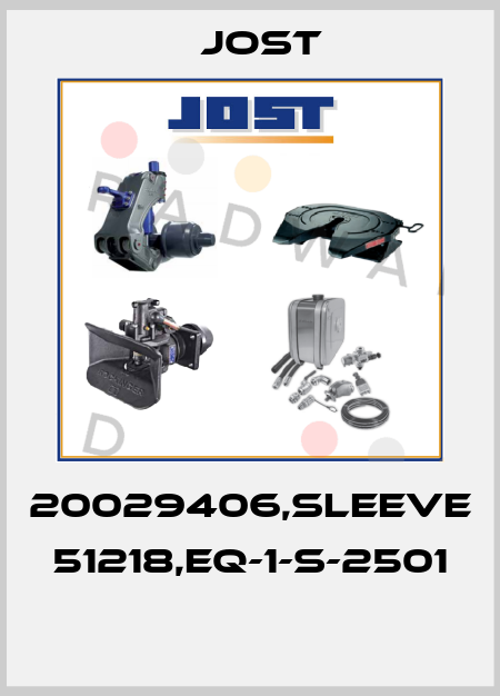 20029406,SLEEVE 51218,EQ-1-S-2501  Jost