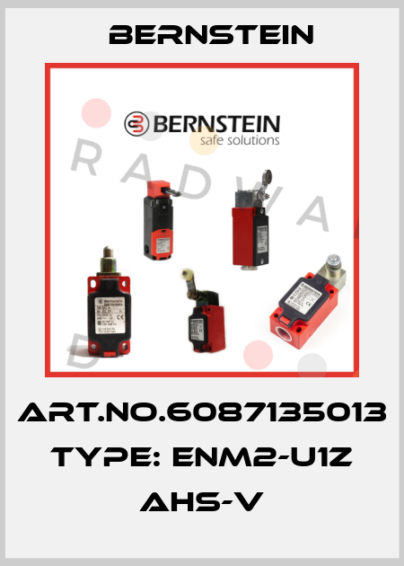 Art.No.6087135013 Type: ENM2-U1Z AHS-V Bernstein