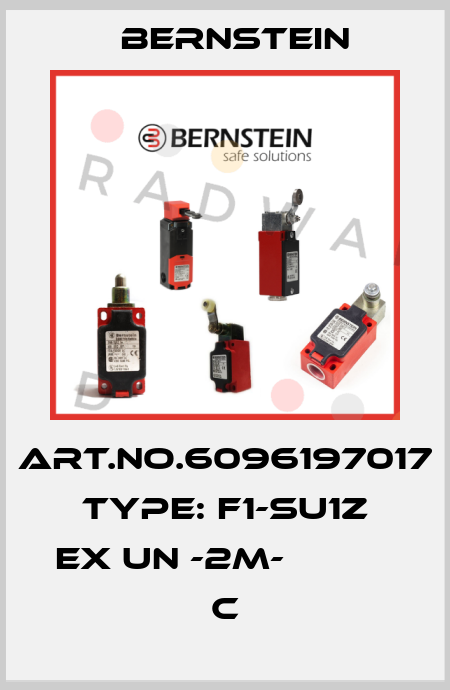 Art.No.6096197017 Type: F1-SU1Z EX UN -2M-           C Bernstein