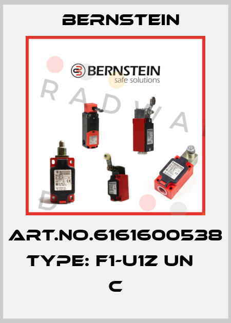Art.No.6161600538 Type: F1-U1Z UN                    C Bernstein