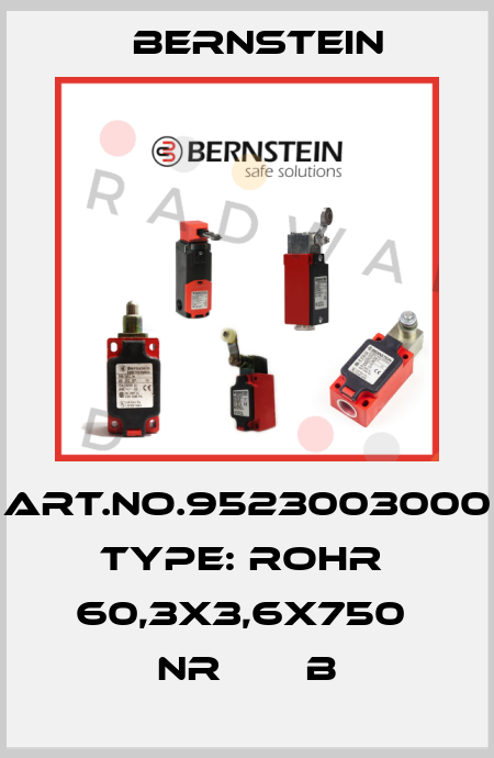 Art.No.9523003000 Type: ROHR  60,3X3,6X750  NR       B Bernstein
