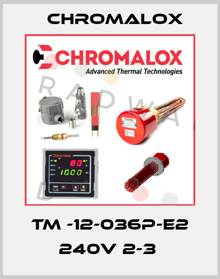 TM -12-036P-E2 240V 2-3  Chromalox