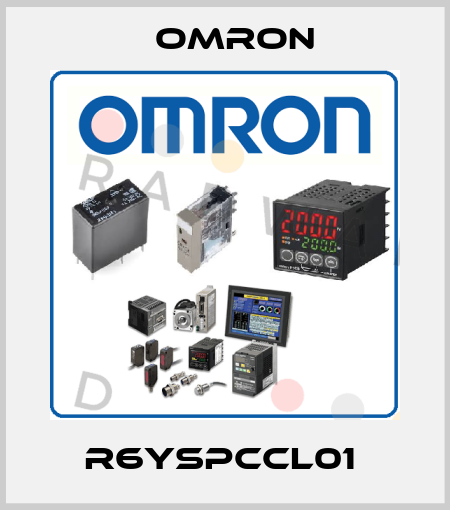 R6YSPCCL01  Omron