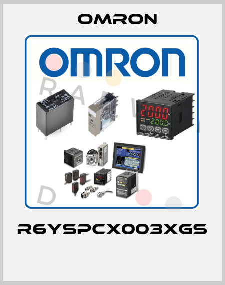 R6YSPCX003XGS  Omron