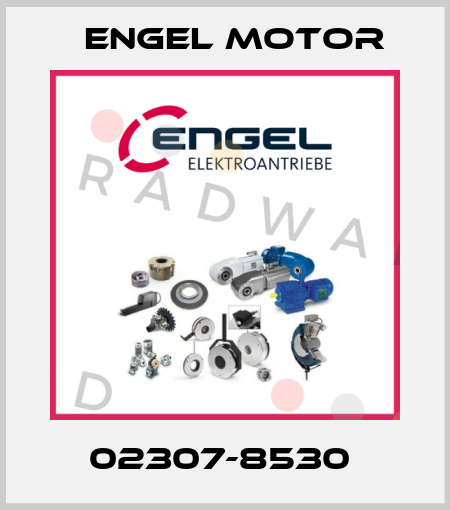02307-8530  Engel Motor