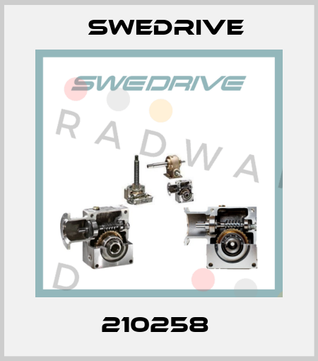 210258  Swedrive