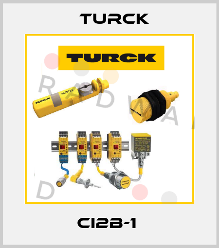 CI2B-1  Turck