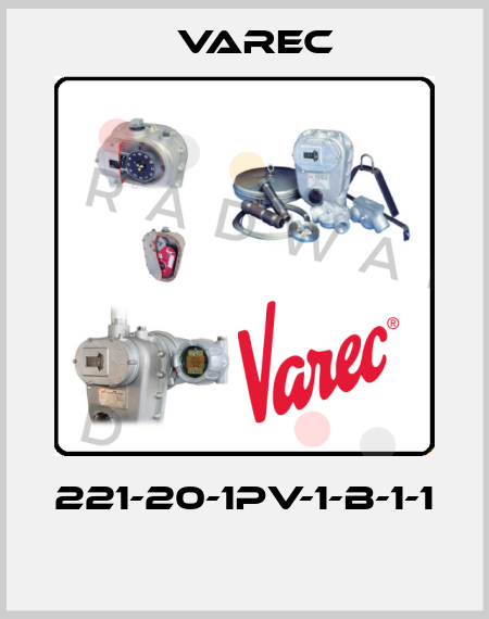 221-20-1PV-1-B-1-1  Varec