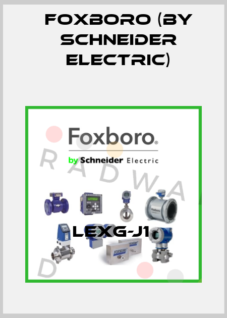 LEXG-J1  Foxboro (by Schneider Electric)