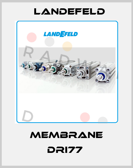 MEMBRANE DRI77  Landefeld