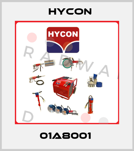 01A8001  Hycon